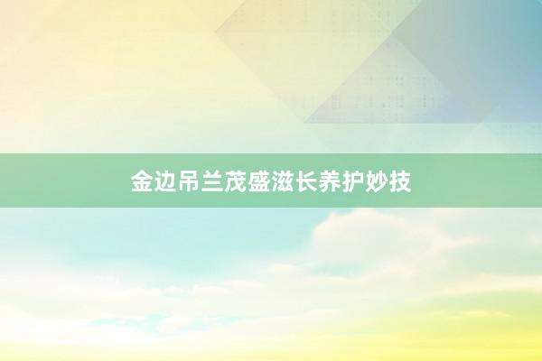 金边吊兰茂盛滋长养护妙技